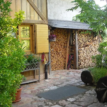B&B Artemia-3